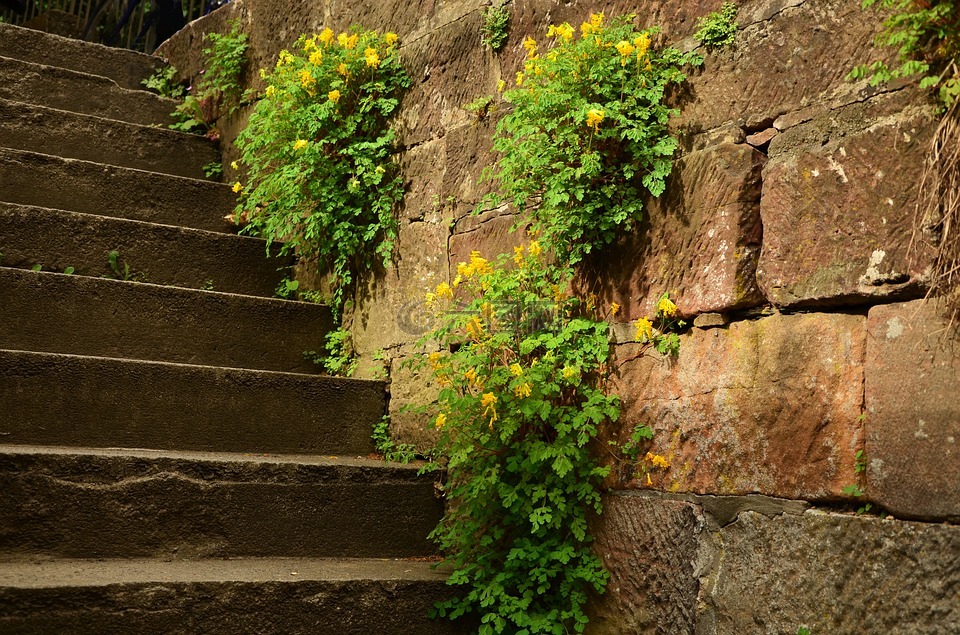 楼梯,墙,石