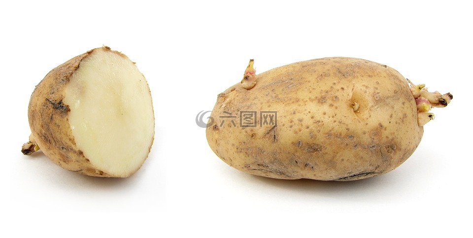 马铃薯,地球苹果,赤褐色的伯班克马铃薯