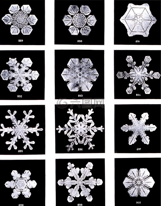 晶体,冰晶体,雪