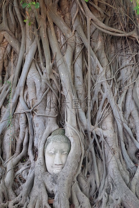 泰国,古都,佛像