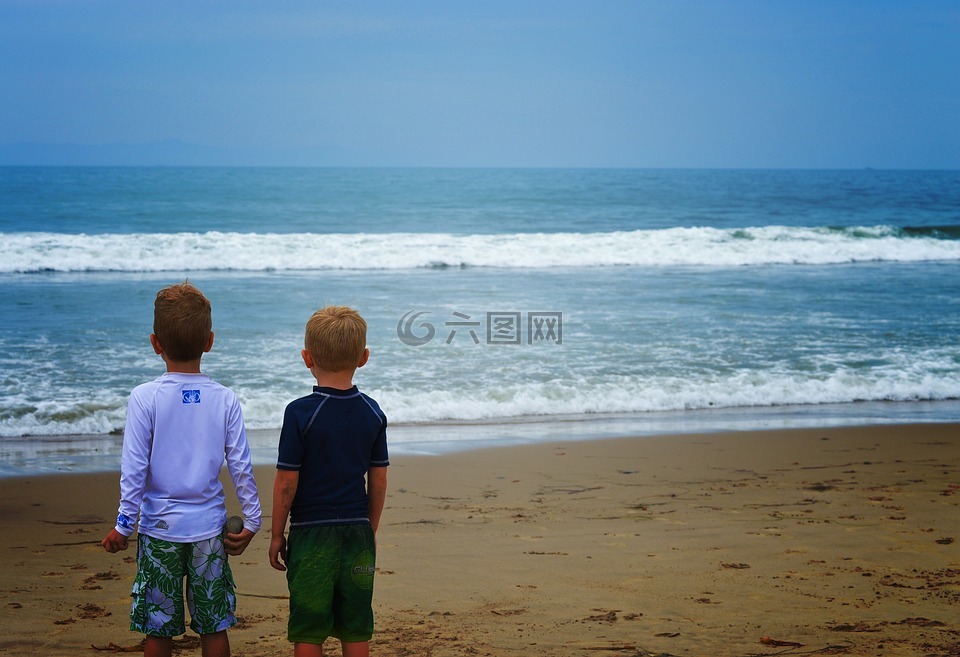 海滩,男孩,假期