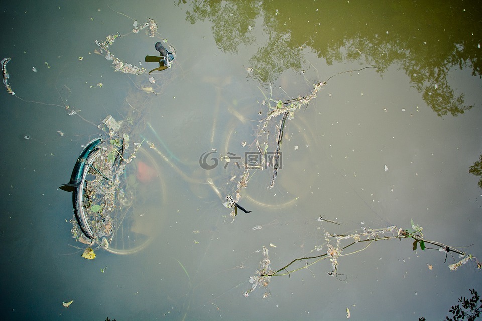 自行车,河,吸收