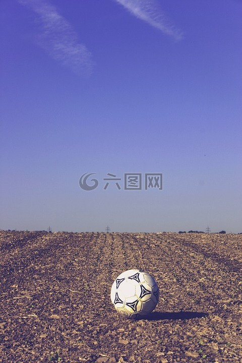 足球,关于,耕地