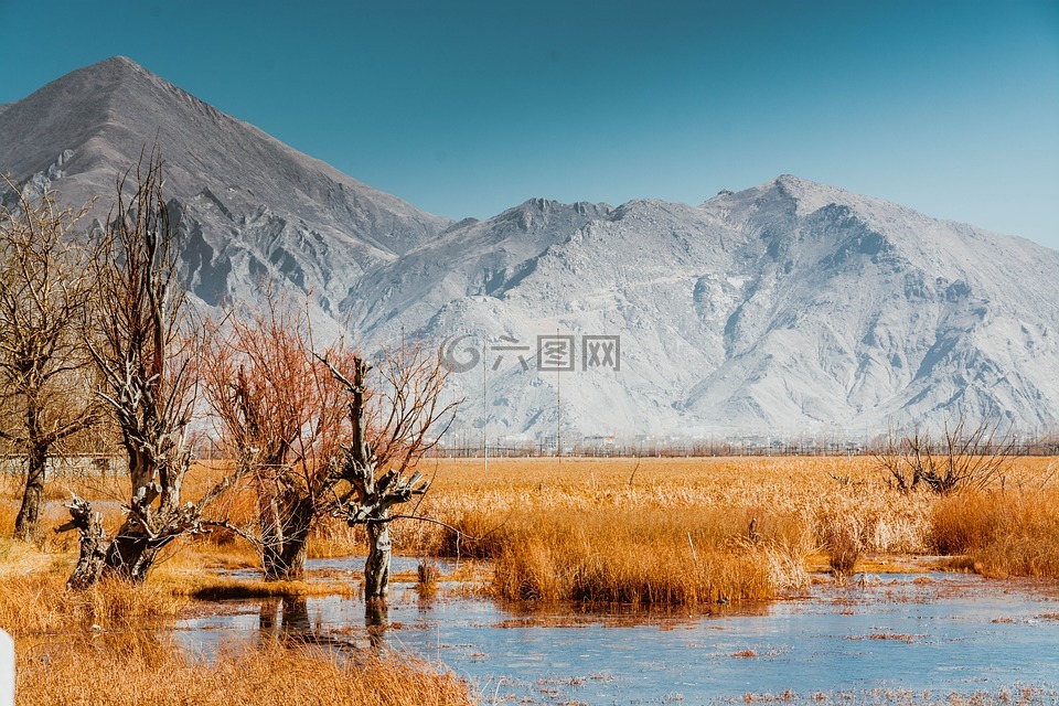 西藏,拉鲁湿地,念青唐古拉