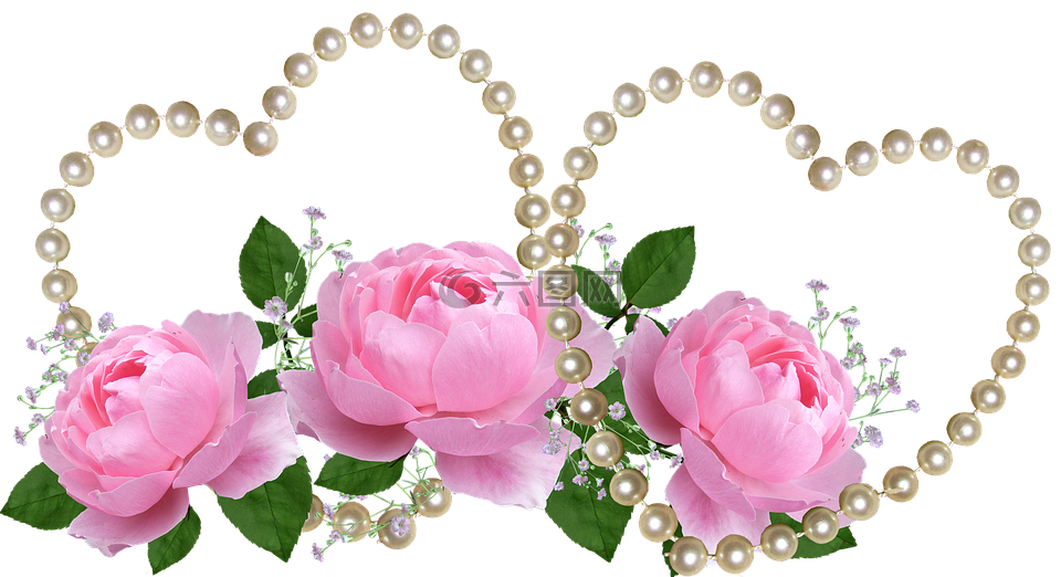 情人节,粉色玫瑰,珍珠心