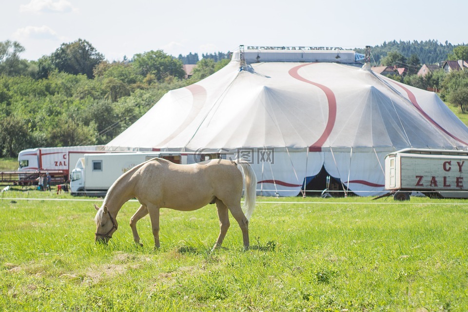 马戏团,这匹马,马戏团帐篷
