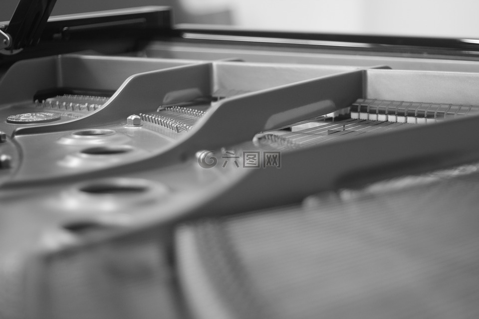 钢琴,乐器,声