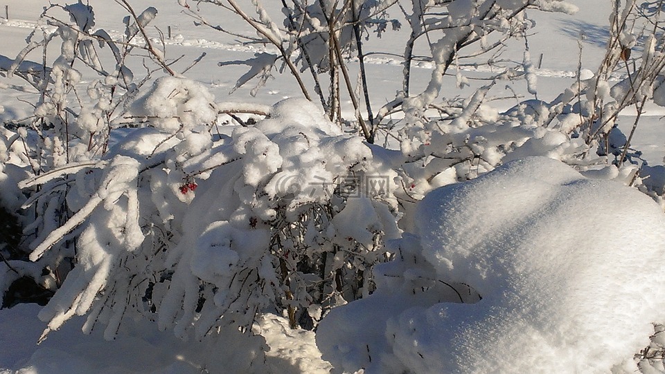雪,景观,冬季高炉