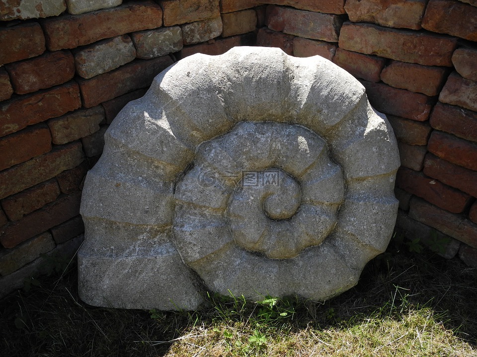 石,蜗牛,花园