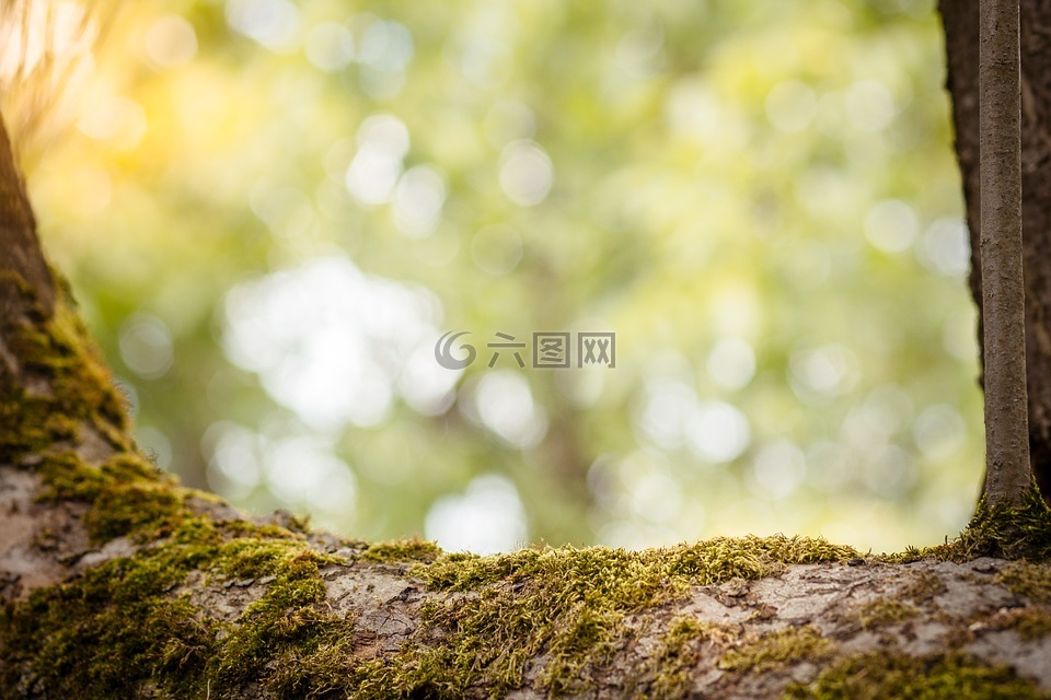 背景 自然背景视图 雄伟的大自然高清图库素材免费下载 图片编号 六图网