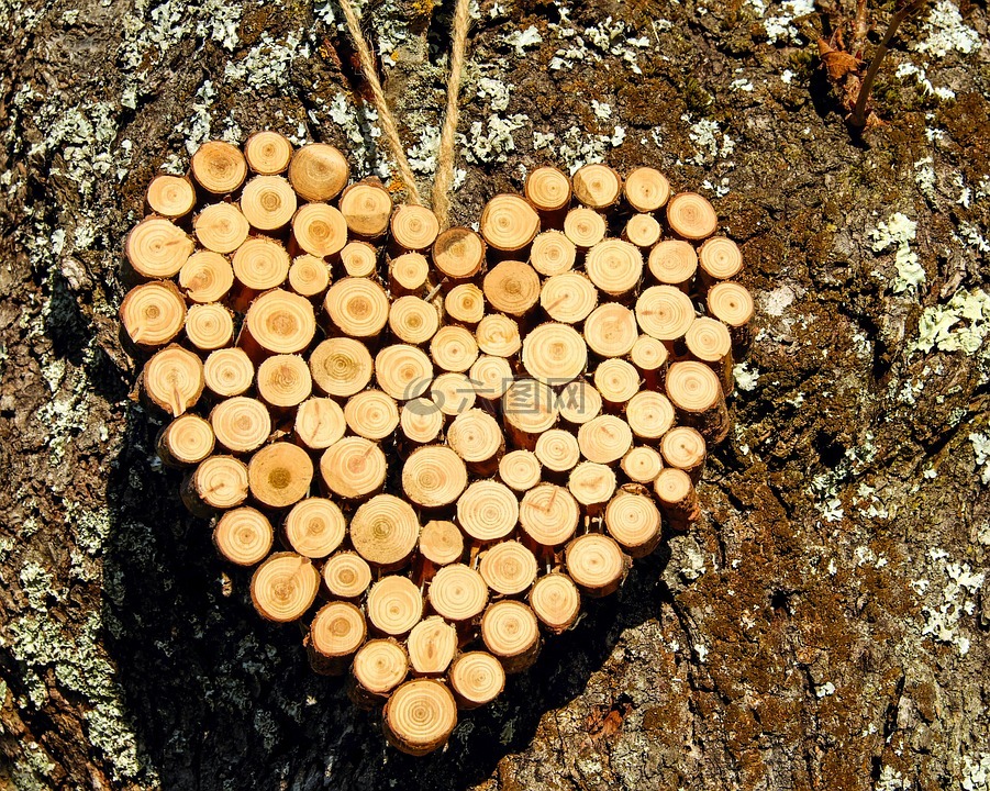 心脏,木,木结构