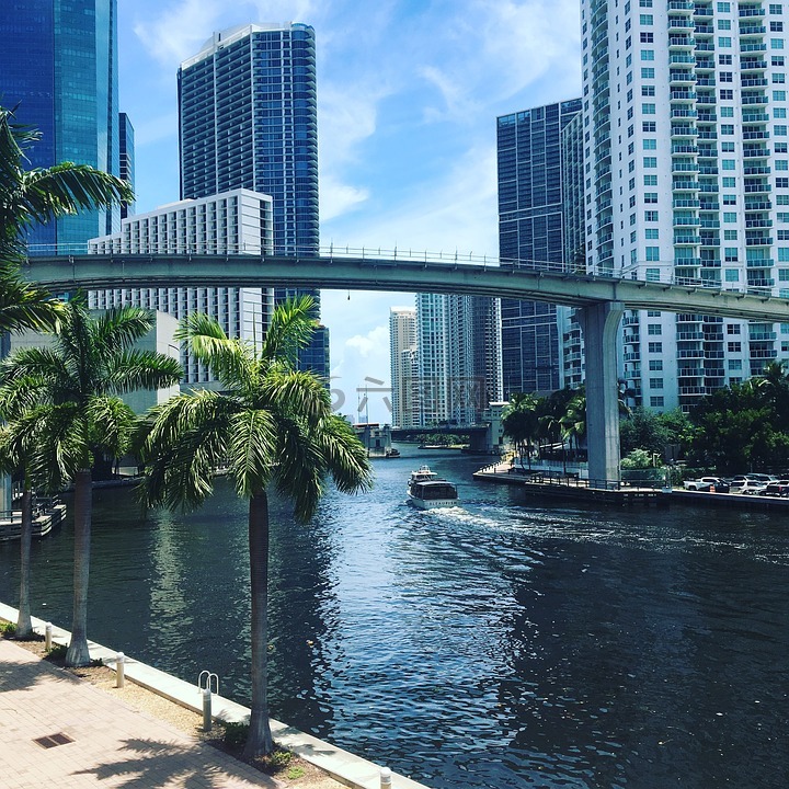 迈阿密,河,美丽的景色