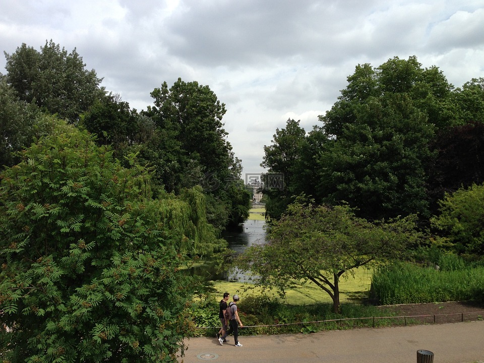 伦敦,公园,绿色