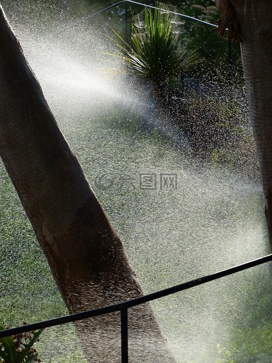 灌溉,自动喷水灭火,自动喷水灭火系统