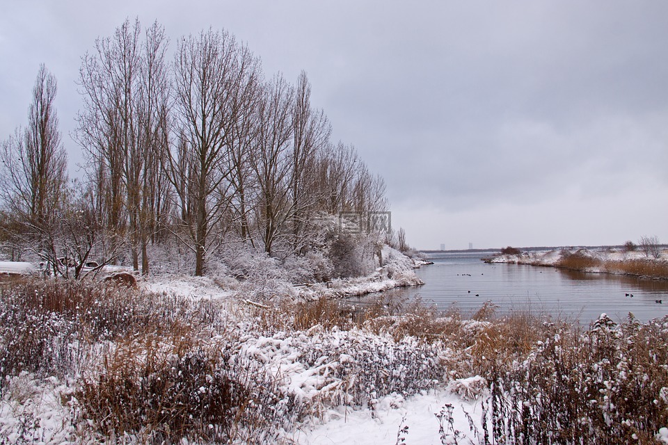 冬季风景,冬天,雪