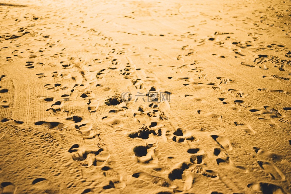 沙,海滩,脚步声