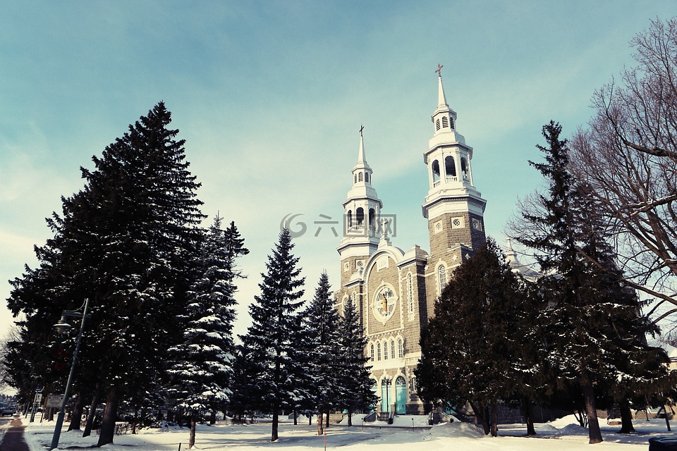魁北克省,教堂,树