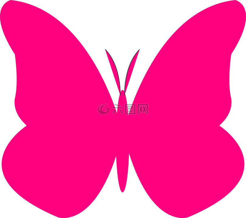 蝴蝶,粉红色,侧影