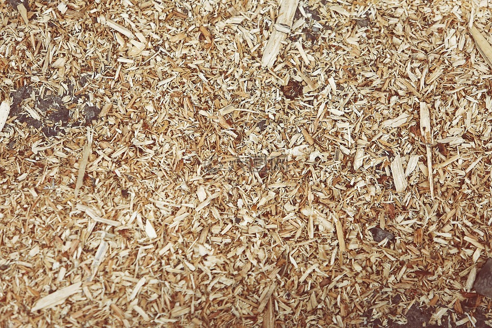 碎木板,木屑,覆盖