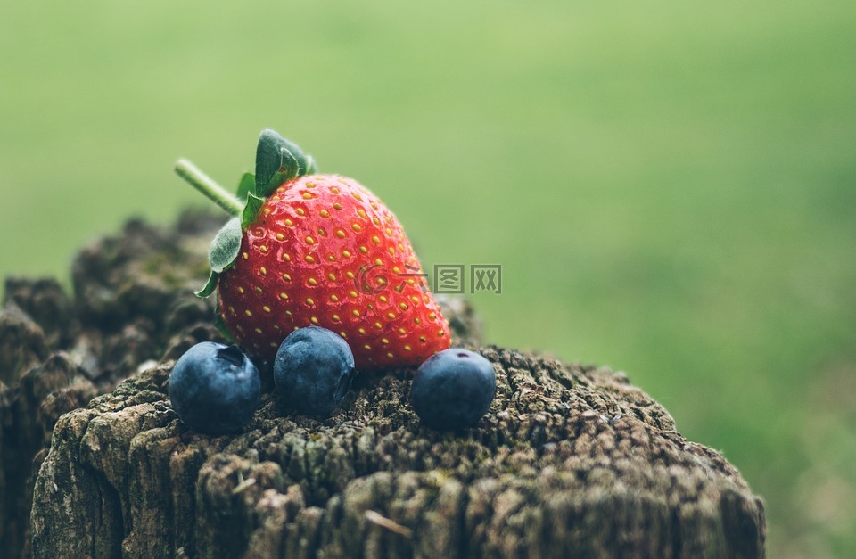 草莓,蓝莓,水果