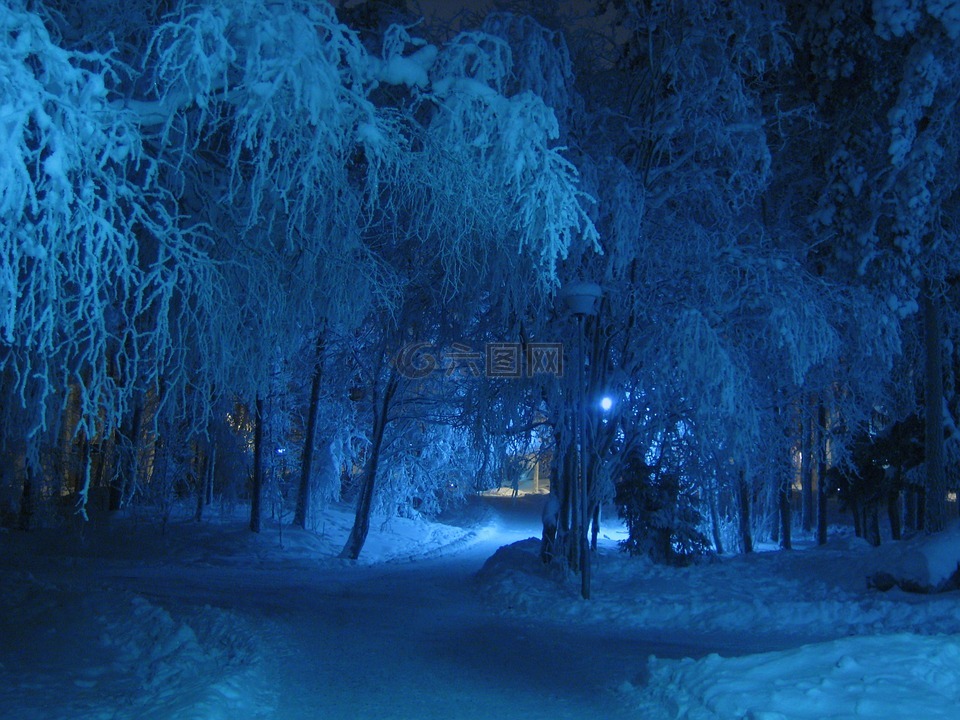 冬天,夜,蓝色