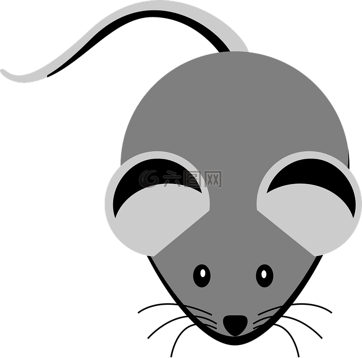 鼠标,耳朵,尾巴