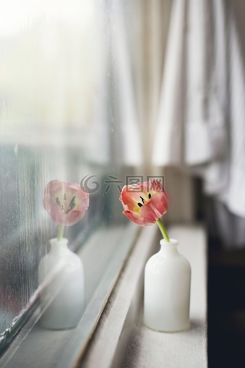 花,花瓶,室内