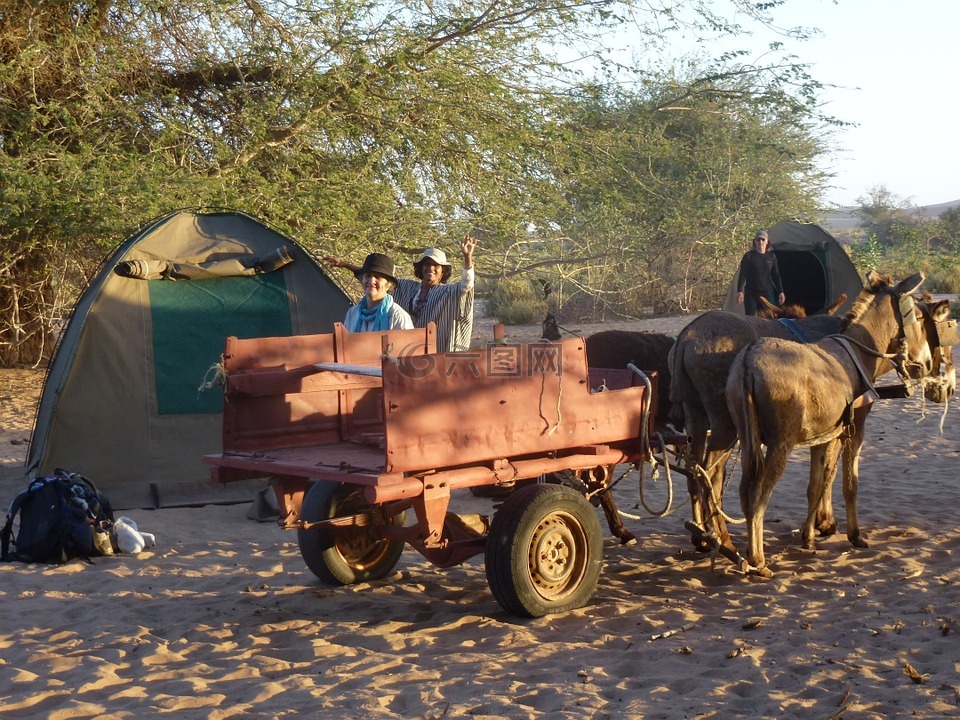 手推车,景观,纳米比亚