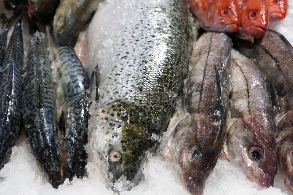 鱼,吃,市场