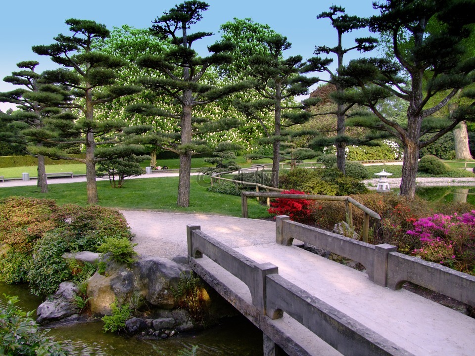 景观,日本花园,花园