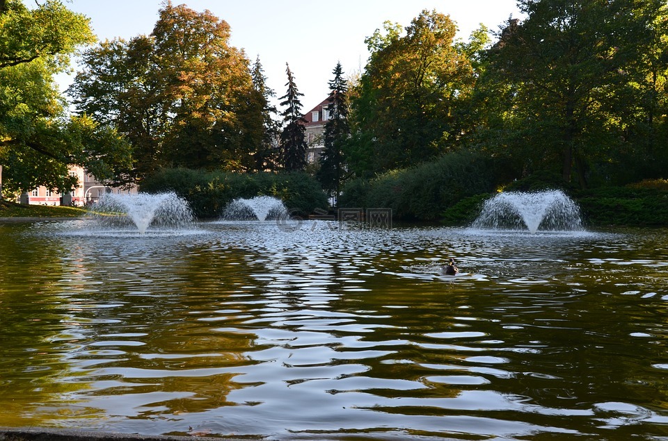 公园,池塘,喷泉