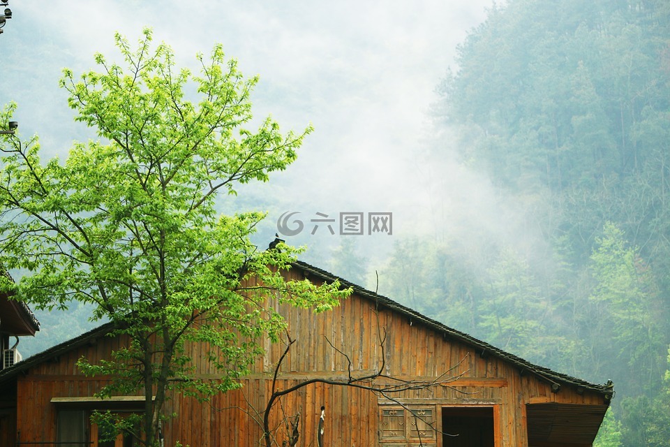 木屋,雾气,山