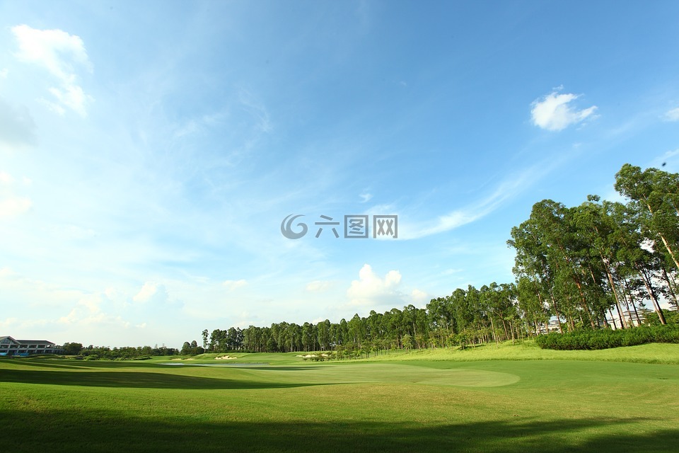 高尔夫球场,绿地,景观