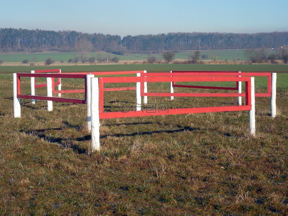 马术,障碍,栏