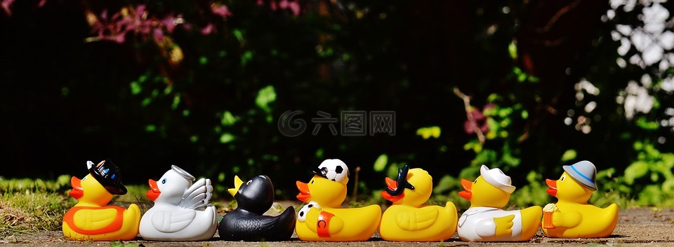橡胶鸭子,浴鸭,沐浴乐趣