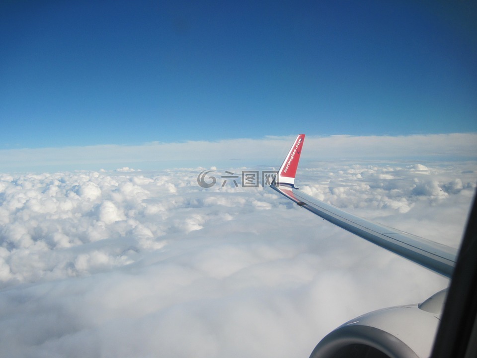 从飞机上查看,天空,云