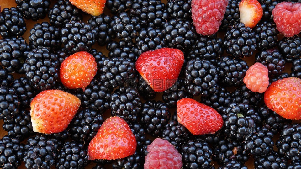 黑莓,草莓,软水果