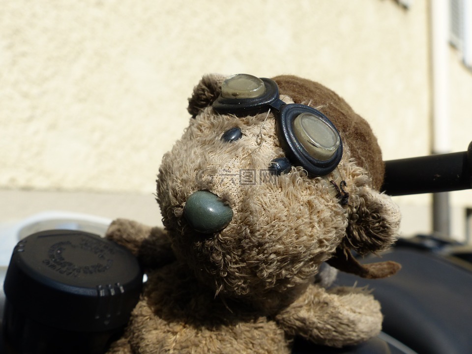 熊,摩托车,眼镜