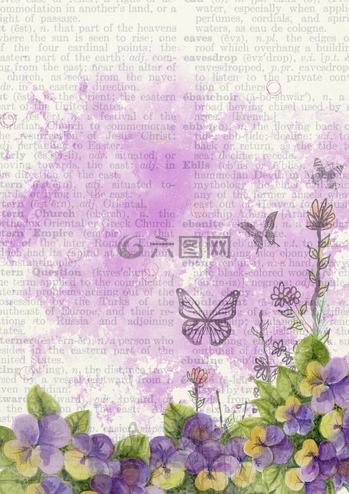 背景,花,紫色