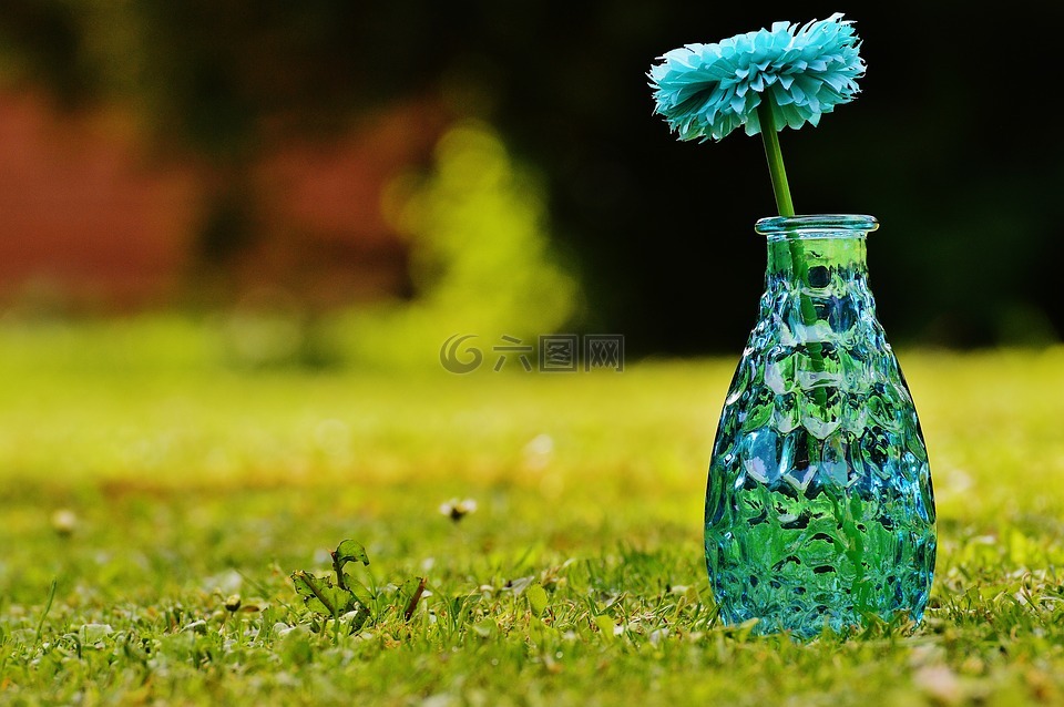 花瓶,玻璃,花