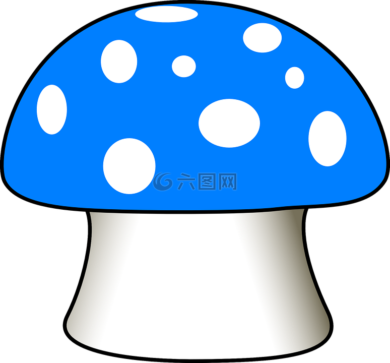 蘑菇,飞木耳,蓝色
