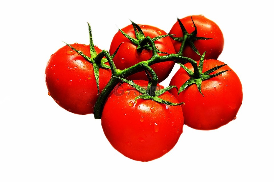 蕃茄,农业,抗氧化剂