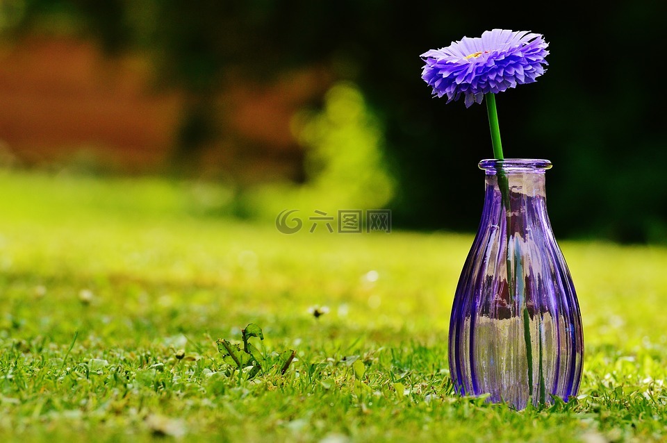 花瓶,玻璃,花
