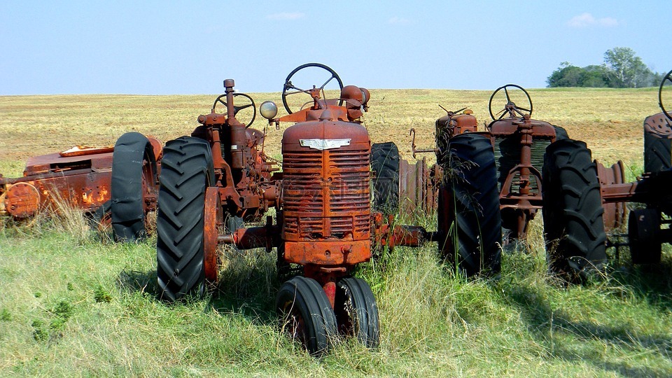 拖拉机,农场,农村