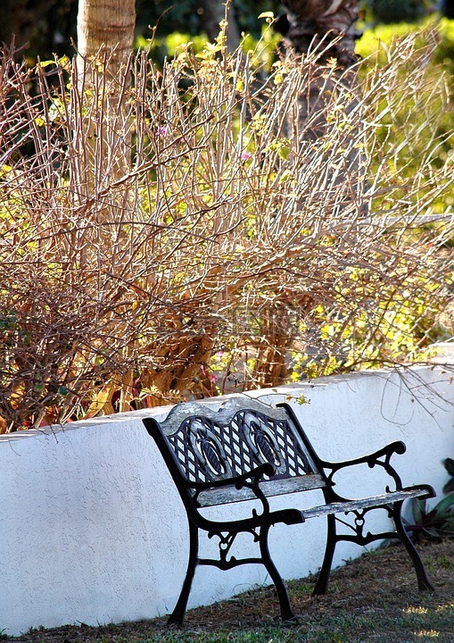 长凳,花园,秋