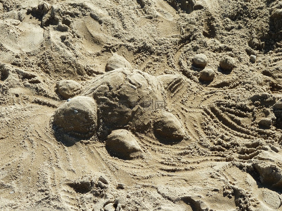 沙,龟,雕塑