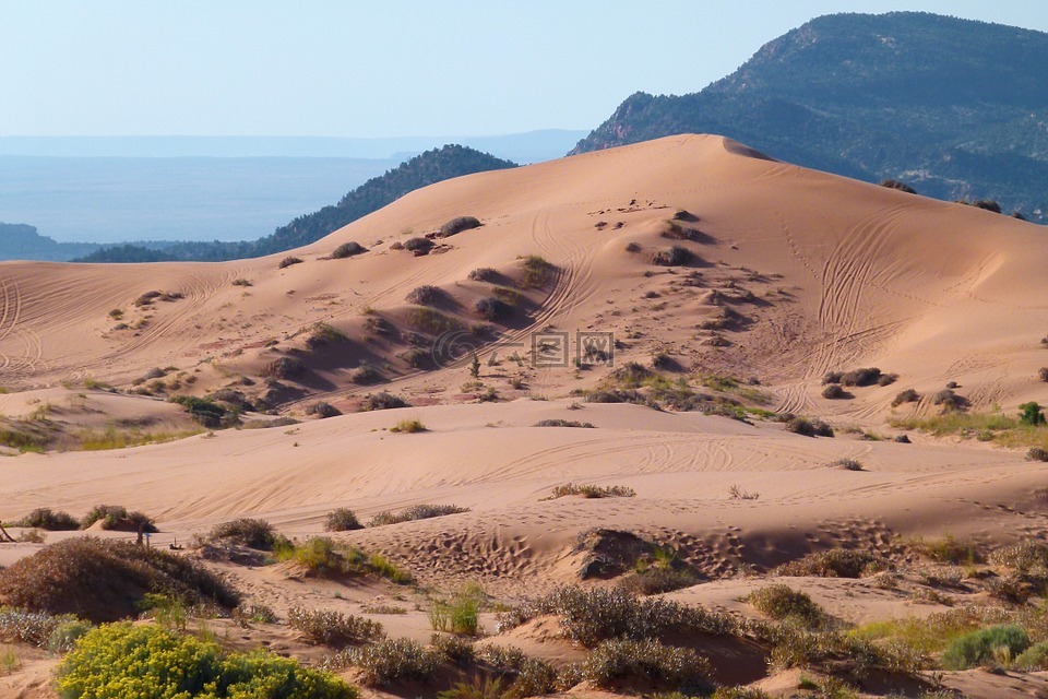 粉红色的沙丘,犹他州,美国
