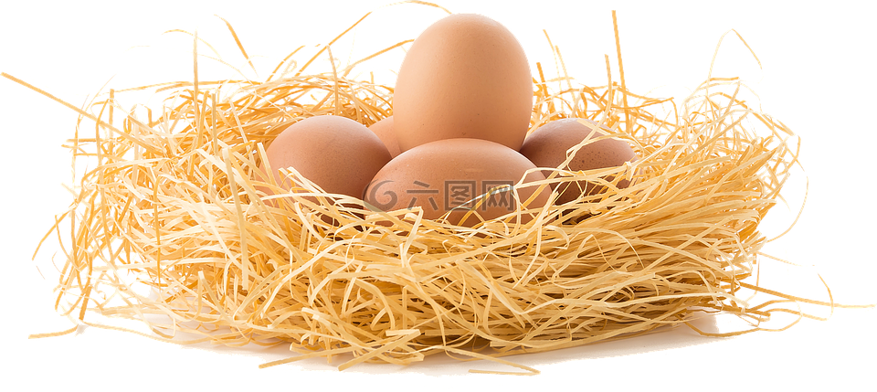 驱动的鸡蛋,窝蛋,鸡蛋