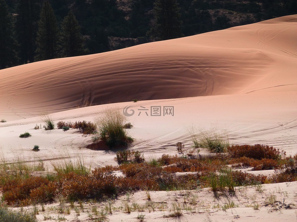 粉红色的沙丘,犹他州,美国