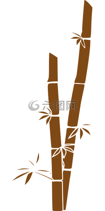 竹,秸秆,热带